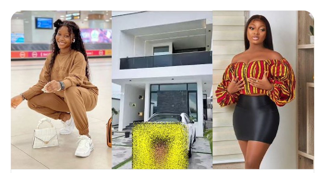 Take down my brothers house" Lady calls out influencer, Papaya hours